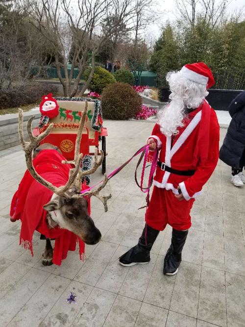 畢節哪里有出租馬戲團表演馬戲團出租的