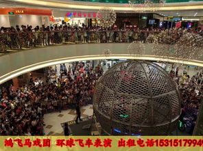 吳忠市什么地方出租海獅表演