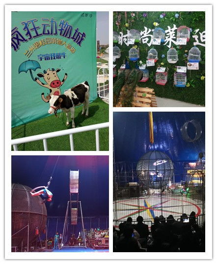 吉首市同城海獅表演出租