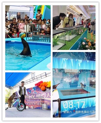 恩施市馬戲團表演出租