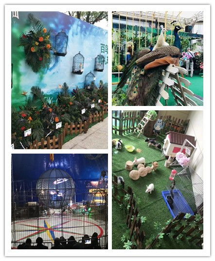 廣東五指山市附近馬戲團表演出租