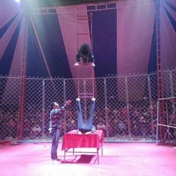 2019春節(jié)馬戲團(tuán)表演馬戲嘉年華方案馬戲團(tuán)表演租賃