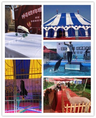 從化大型馬戲團表演出租附近地區