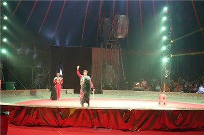 棗強出租多種會表演的動物