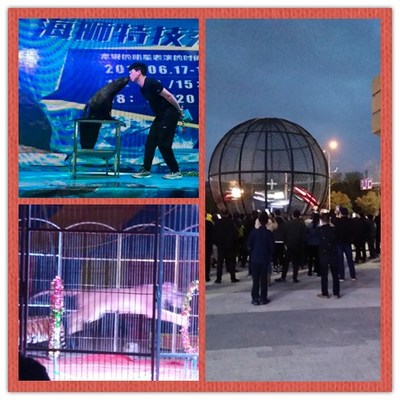 勝凱|動(dòng)物出租|馬戲團(tuán)表演出租|魚(yú)缸展|環(huán)球飛車(chē)|馴鹿出