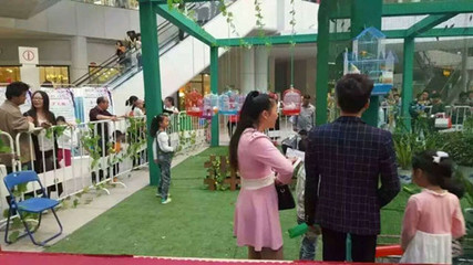 彬 縣中小型馬戲團(tuán)演出合作推薦【鸚鵡表演出租