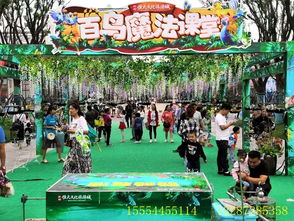 租賃鸚鵡表演的地方在哪里洛陽(yáng)