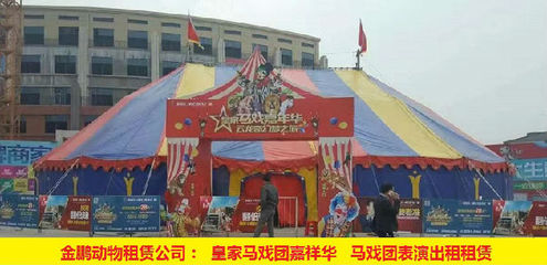 黃石市馬戲團(tuán)表演出租 人員雜技表演動物展覽