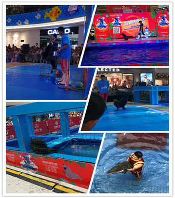 臺州馬戲團(tuán)表演多少錢合作的模式