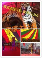 【(1圖)北海哪里有馬戲團表演出租】- 北海其他生活服務 - 北海列舉網(wǎng)