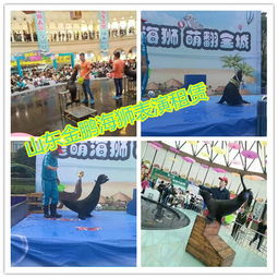 馬戲團表演出租六安市