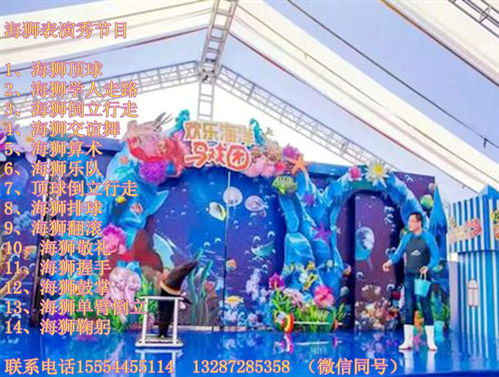 桂平哪里有出租馬戲團演出服務