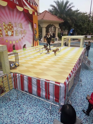 馬戲團(tuán)活動主題 出租馬戲團(tuán)