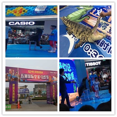 尼勒克縣大型馬戲團雜技表演租賃出租租賃