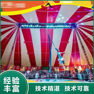 【馬戲團/羊駝】-【海獅表演租賃】服務周到