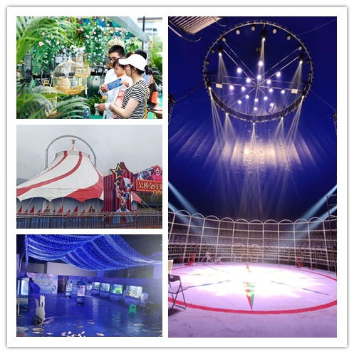 即墨市出租海獅表演