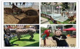 河南泌陽(yáng)租賃馬戲團(tuán)表演價(jià)格有沒(méi)有