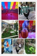 畢節區大方縣海洋觀賞魚展覽租賃