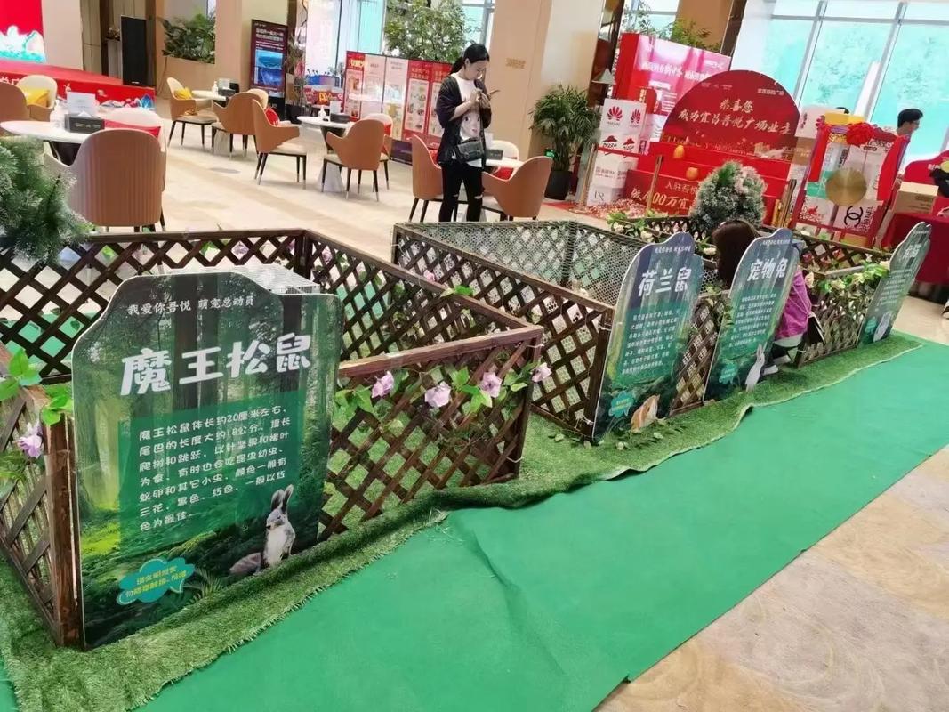 動物出租#馬戲團表演出租#海獅表演出租#羊駝出