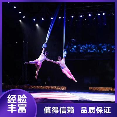 馬戲團(tuán)羊駝海獅表演與冰雕展出租賃 高性價比的優(yōu)質(zhì)選擇